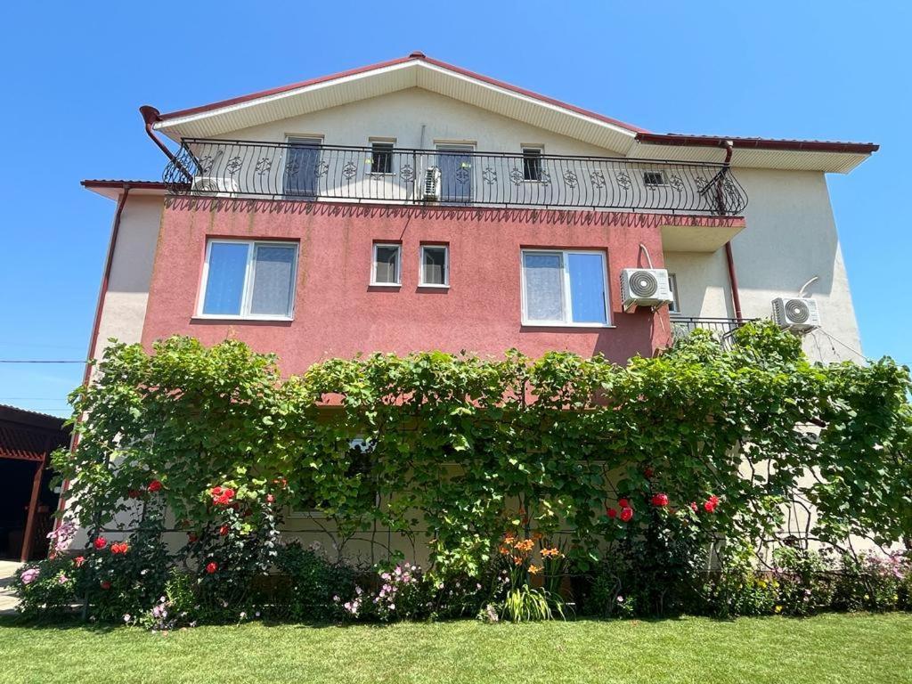 Vila Alexa Costinesti Exterior photo